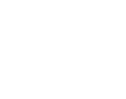 Castore sponsor logo